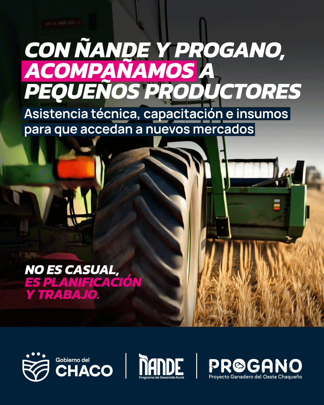 GOBIERNO C