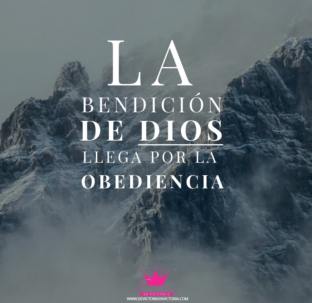 Luego de la obediencia, viene la provisión