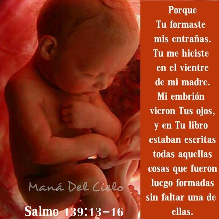 Tu embrión fue tejido por Dios, no eres un accidente 