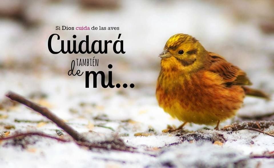 Dios nos cuida 