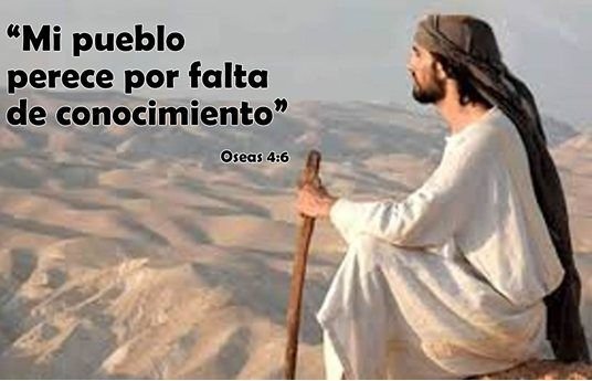 La falta de conocimiento es un peligro