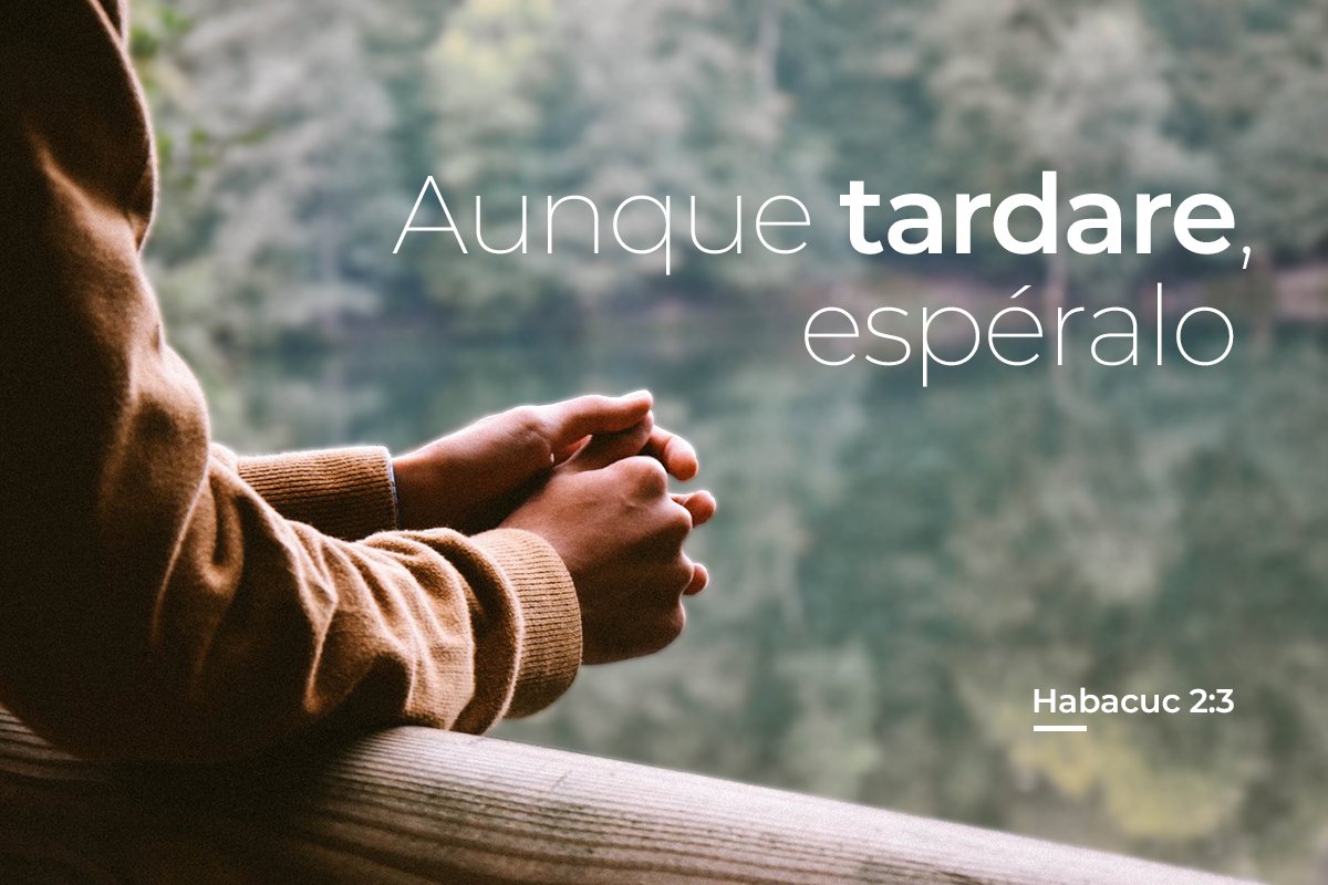 La promesa de Dios no tardará, vendrá en el tiempo apropiado