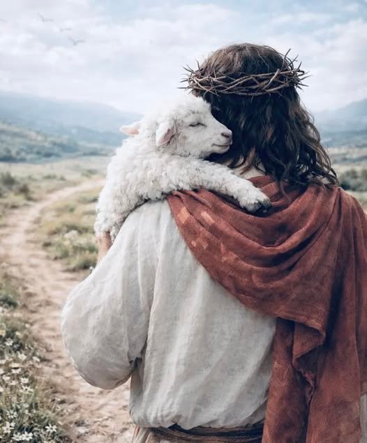 Jesús, el cordero que se dejó sacrificar para darnos vida