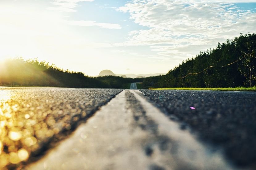¿Cómo transitas el camino de tu vida?