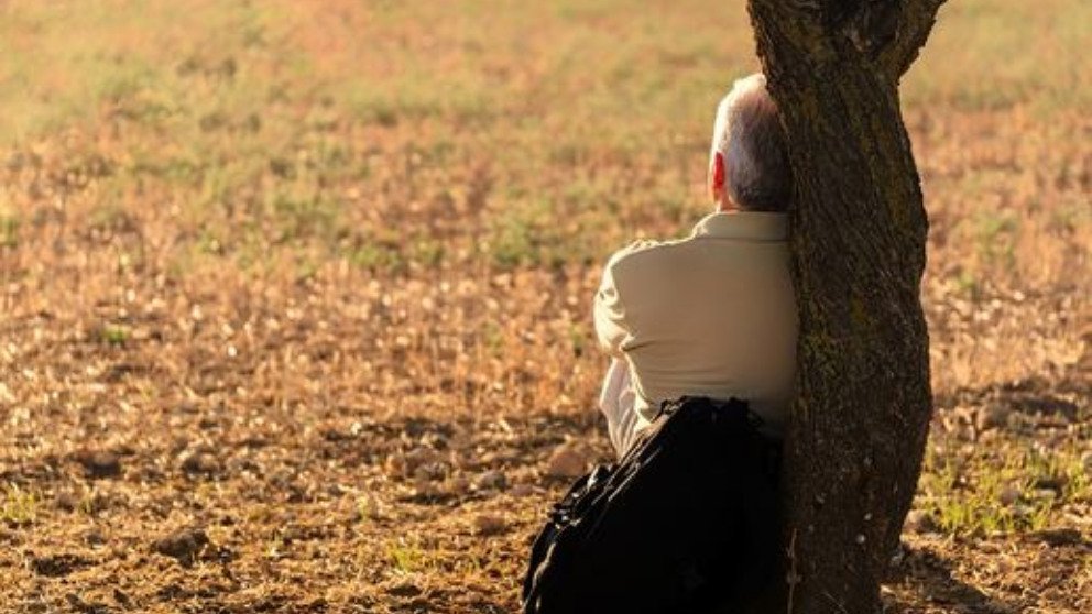 La soledad y sus causas