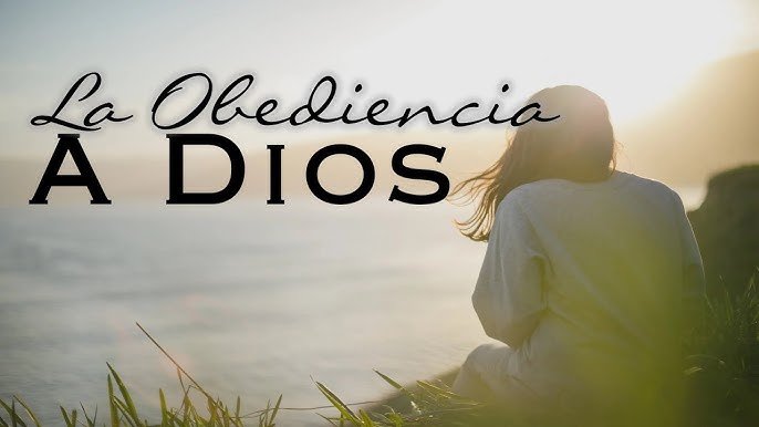 Aunque no entienda, obedezco