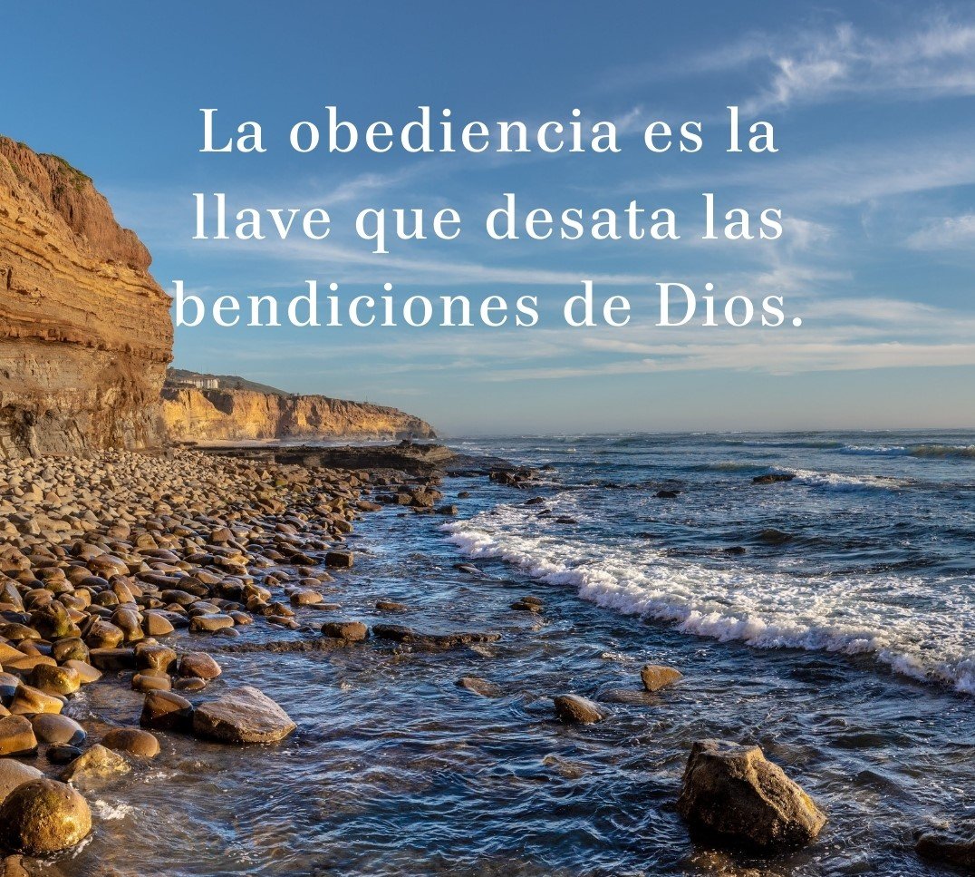 Obedece y no cuestiones