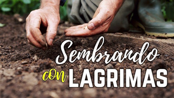 Se reían mientras sembrabas en lágrimas